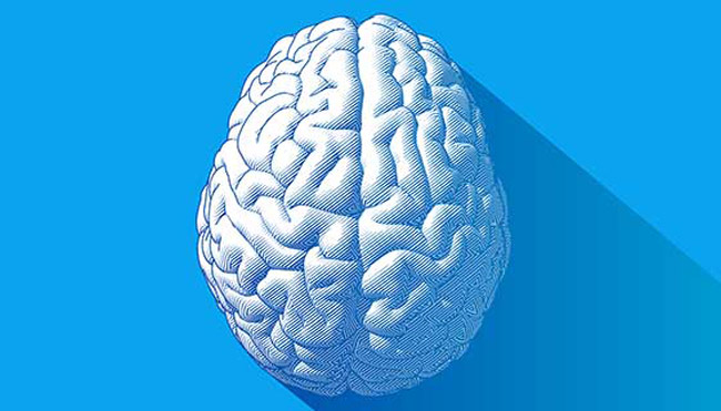 سکته مغزی چیست؟ چه علائم و درمان‌هایی دارد؟