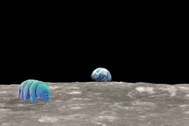قدرتمندترین موجود روی زمین چگونه سطح ماه را آلوده کرد؟