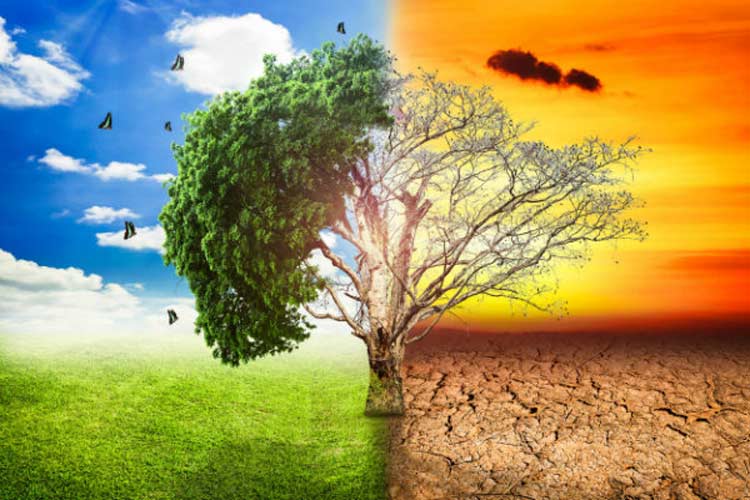 هشدار سازمان ملل: تغییرات اقلیمی جهان را به «لبه پرتگاه» برده است