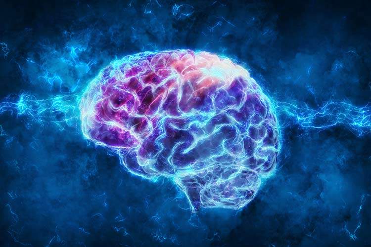 ايتنا – مغز انسان شبیه‌سازی شد
