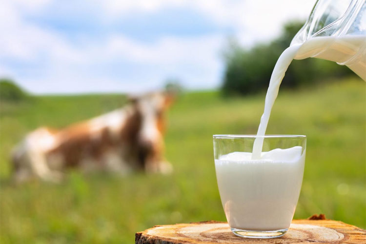 موج محبوبیت شیر خام و هشدار متخصصان